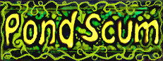 Pond Scum