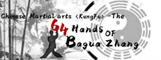 中国传统武术 八卦掌 六十四手 Chinese martial arts (kungfu) The 64 Hands of Bagua Zhang
