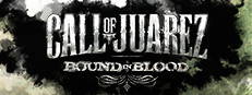 Call of Juarez: Bound in Blood