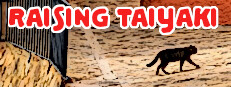 RAISING TAIYAKI