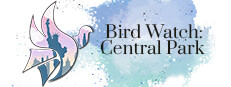Bird Watch: Central Park