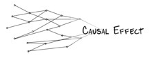 Causal Effect