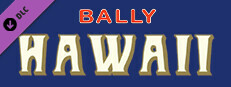 Bingo Pinball Gameroom - Bally Hawaii