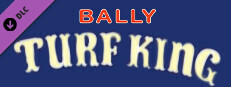 Bingo Pinball Gameroom - Bally Turf King
