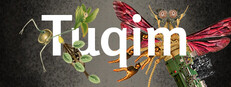 Tuqim