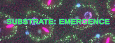 Substrate: Emergence Playtest