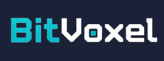 BitVoxel