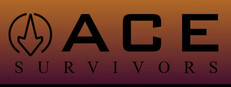 Ace Survivors