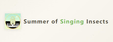 Summer of Singing Insects