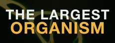 The Largest Organism