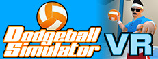 Dodgeball Simulator VR