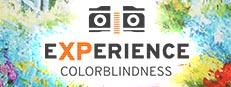 Experience: Colorblindness